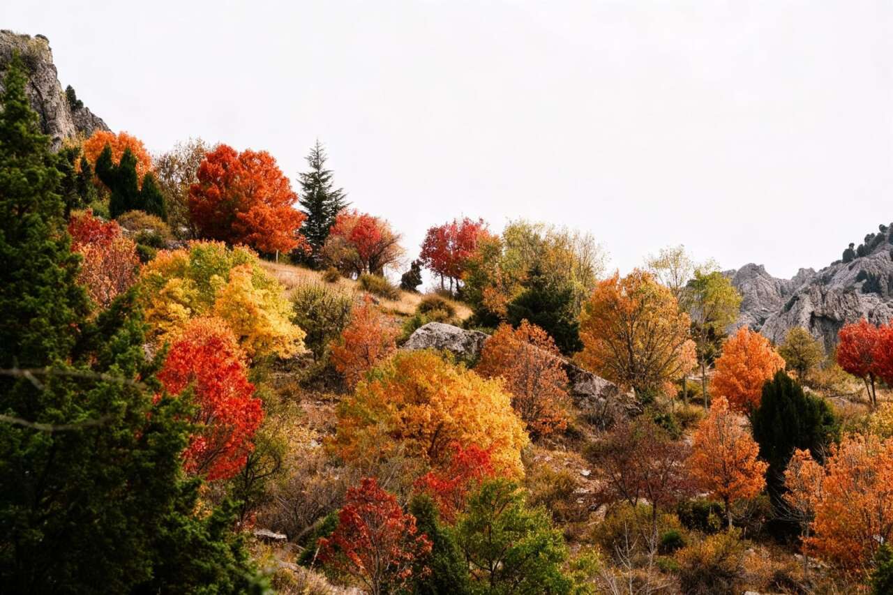 Konya’da doğa renk değiştirdi! Görenleri kendine hayran bırakıyor 6
